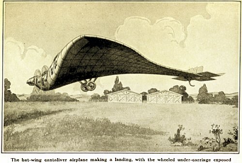 Bat wing aeroplane from article