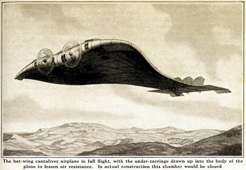 Bat wing aeroplane from article