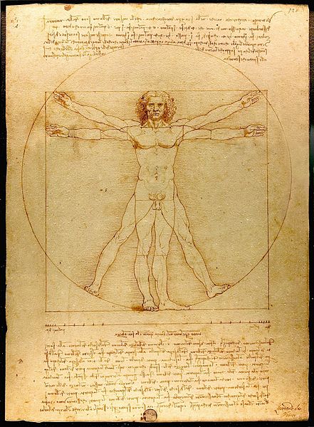 Leonardo da Vinci drawing of Vitruvian Man