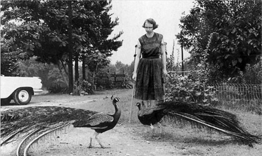 Flannery O'Connor and peacock