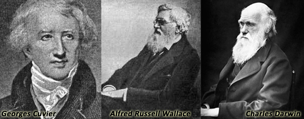 photos of 3 naturalists Cuvier, Wallace, Darwin