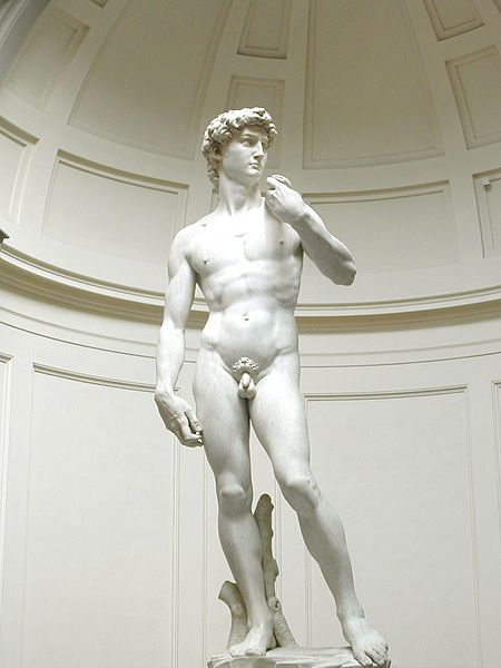 Michelangelo's David picture