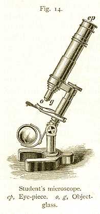 A more formal image of science from The Fairy-Land of Science, 1878