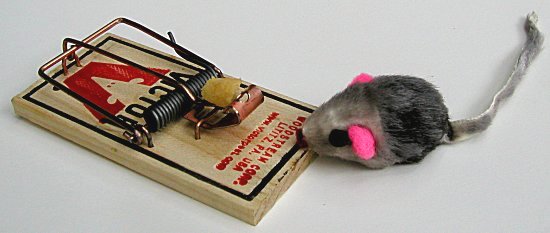 Mouse by mouse trap