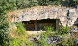 Part of the old quarry