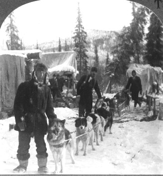 An early-20th-century dog sled North of the Arctic Circle