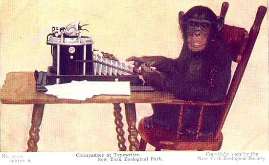 Chimpanzee Typing