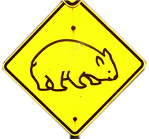wombat crossing sign