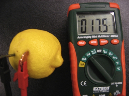 A Lemon Battery: A copper coin and a zinc coated nail are inserted into a lemon. The copper and zinc act as the electrodes and the lemon behaves as an electrolyte. [Courtesy of Reed Newell and Haleh Ardebili at University of Houston]