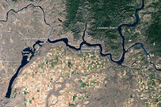 Banks Lake, Grand Coulee Dam, and Franklin D. Roosevelt Lake (1999 Landsat photo)