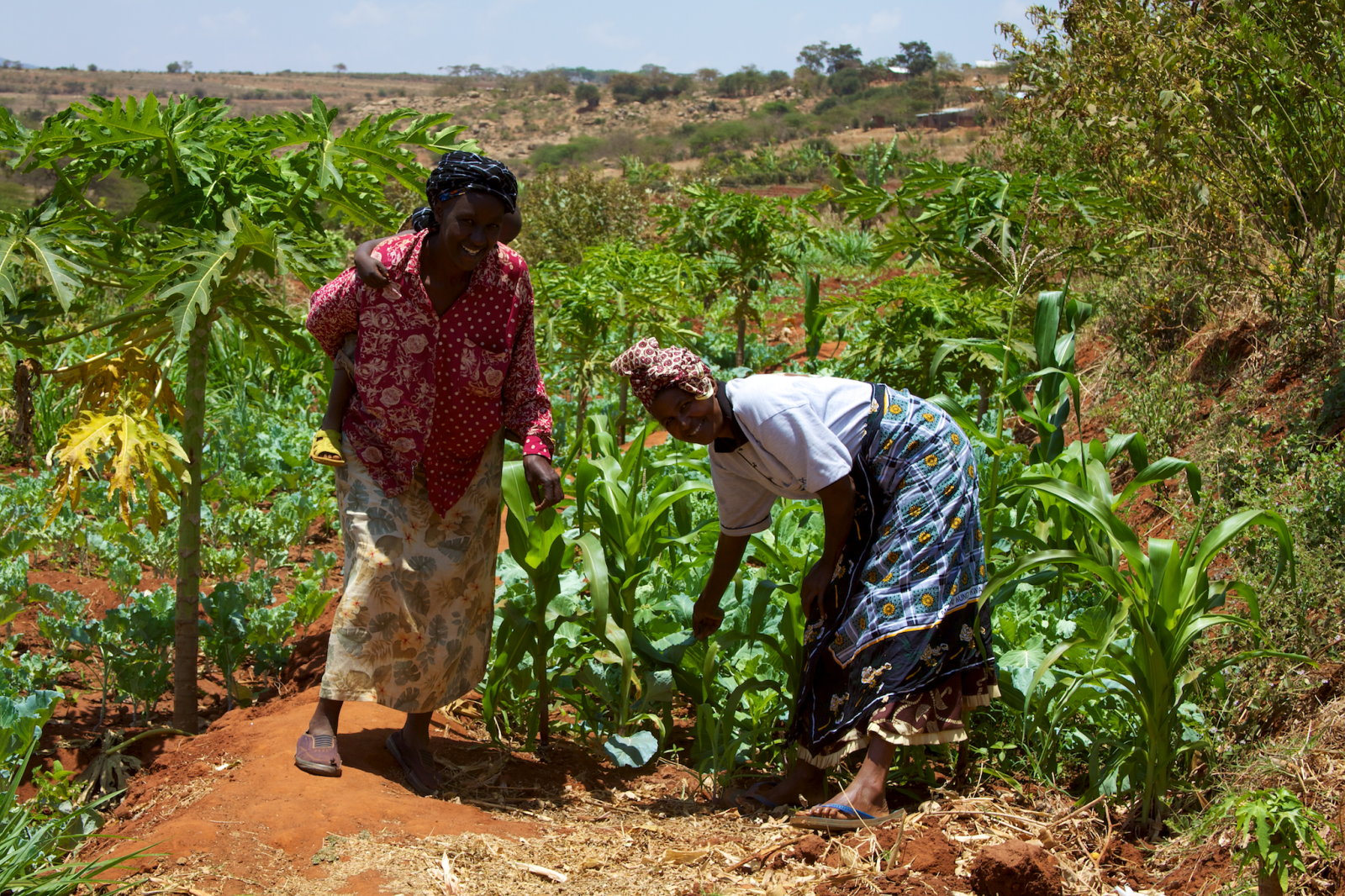 farmers