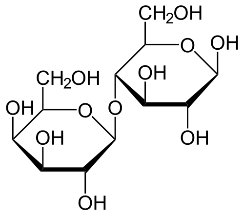 chemical structure of lactose