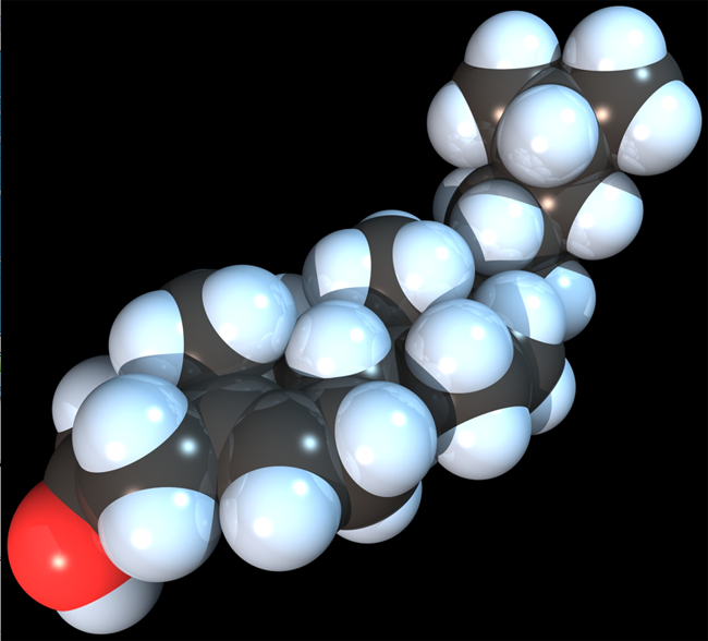 Model of a cholesterol molecule 