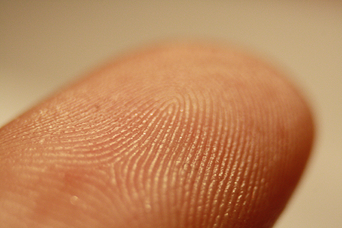 Fingerprint picture