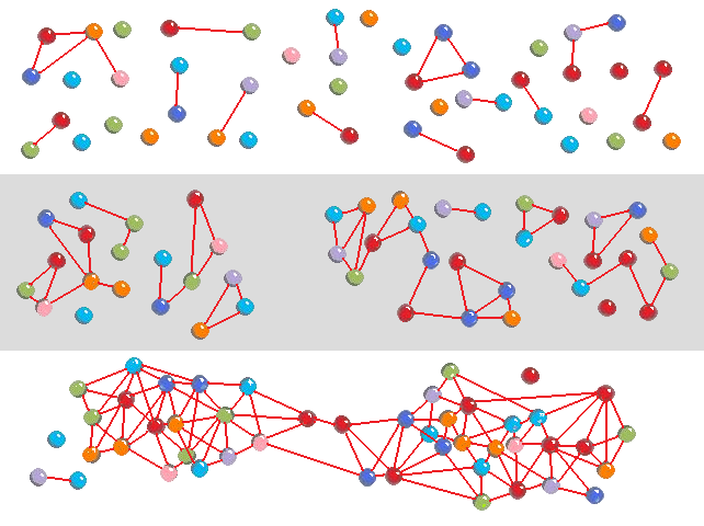 network self-organization stage