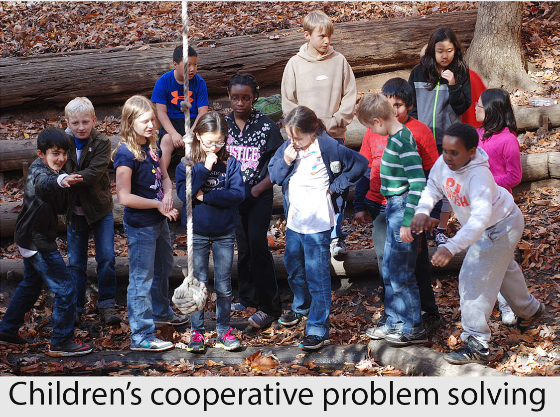 Children's cooperative problem solving