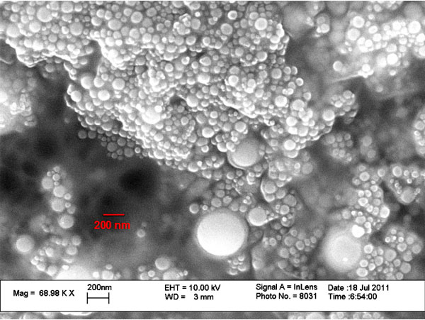 SEM of Nanoparicles