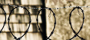 barbed and concertina wire