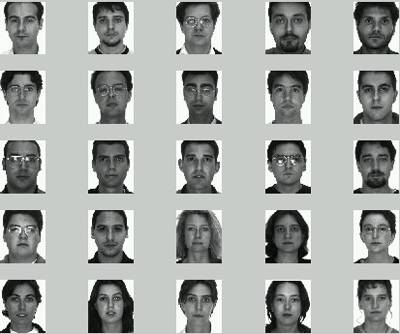 set of 25 faces