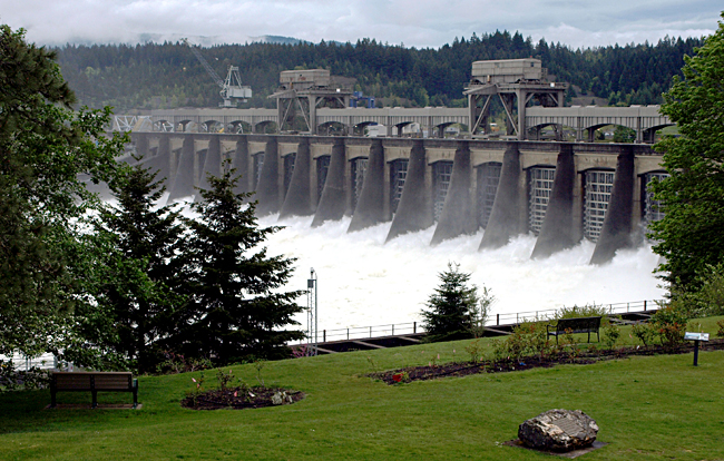 Bonneville Dam spillways