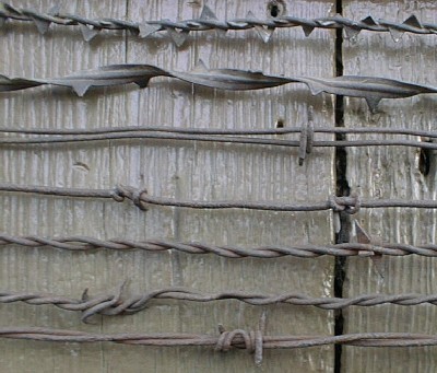 Barbed wire samples assembled by Robert L. Myers