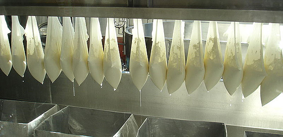 Drying curds picture