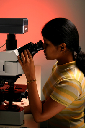 Electrical Engineering Student Divya Gangumalla with a Fluorescence microscope in the UH Environmental Engineering lab