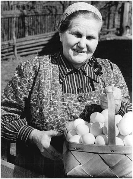image of a women holding eggs in a basket