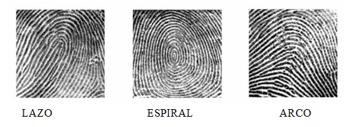 Level one fingerprint picture