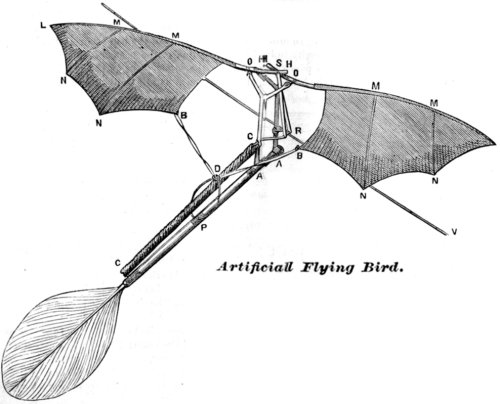 Flying bird model