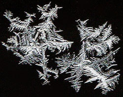 Frost patterns on a window