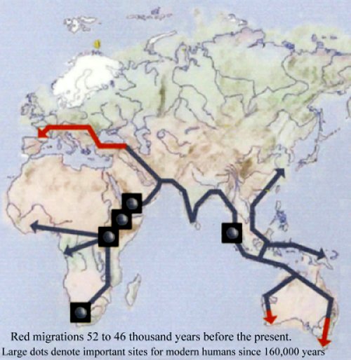 Human Migration, 50,000 years ago