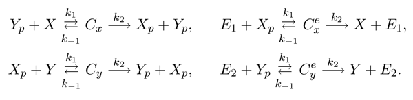  Mathematical model equation