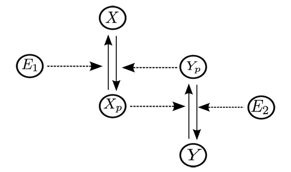  Mathematical model network
