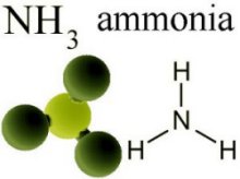 The ammonia molecule