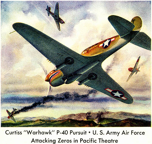 P-40 in combat