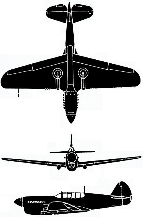 P-40 in silhouette