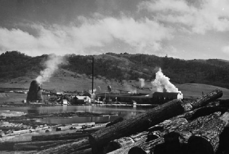 Burning slash and sawdust at a lumber mill near Roseburg, Oregon, in 1946