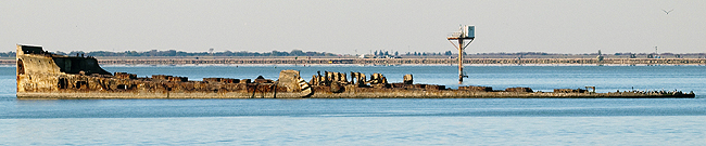 The SS Selma in profile