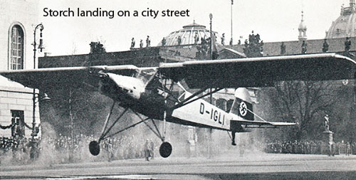 Storch landing on a city street