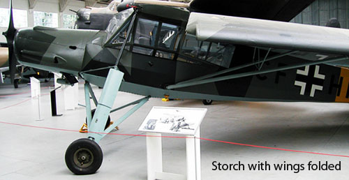 Storch with its wings folded