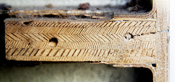 Birch plywood cross-section