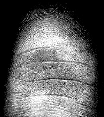 Thumbprint 
