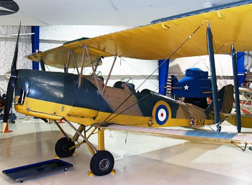 Tiger Moth