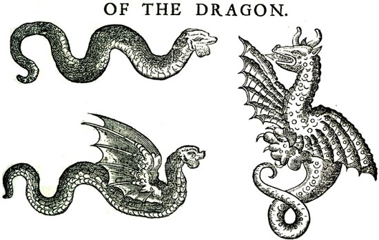 Dragons from Topsell, 1608