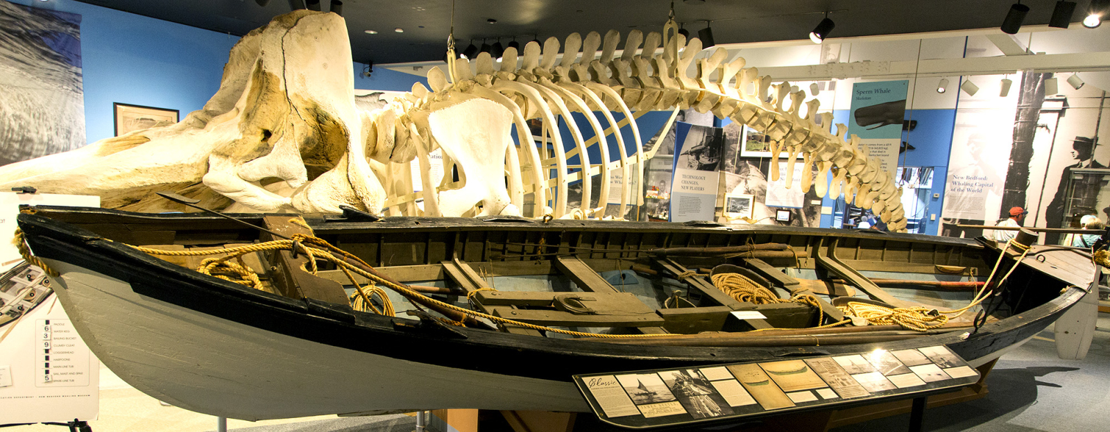 Whaleboat and whale