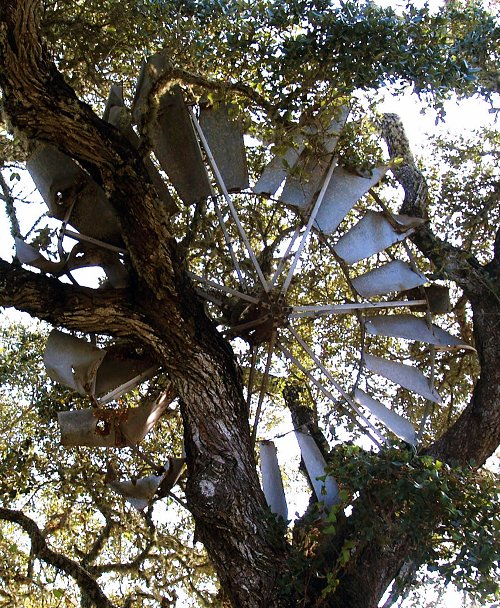 Windmill fan in a tree