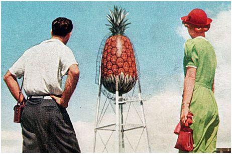 water tower pineapple